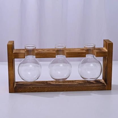 Nutshell tabletop glass planter propagation station with three glass vases on a wooden stand