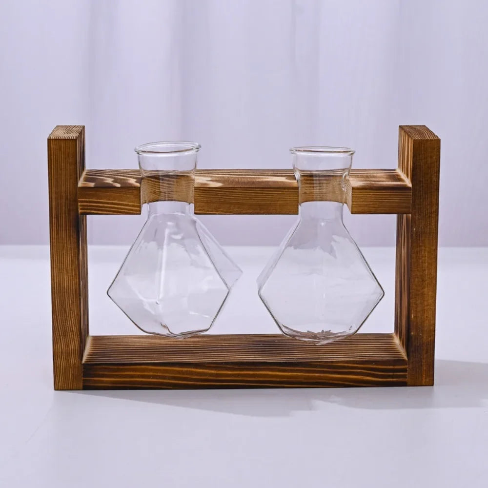 Tabletop glass planter propagation station with wooden stand and two glass vases for plant propagation