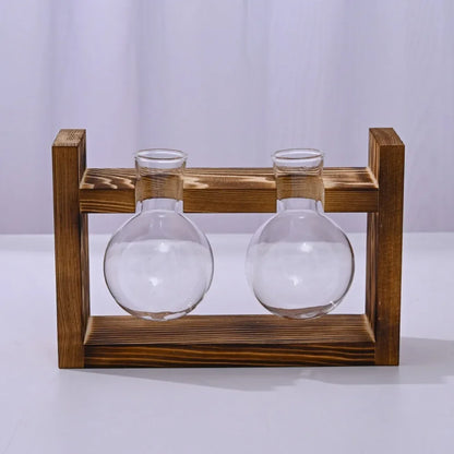 Nutshell tabletop glass planter propagation station with two round glass vases and wooden stand