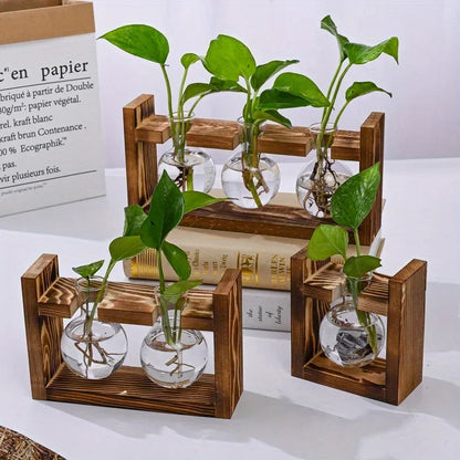 Tabletop glass planter propagation station with wooden stand and glass vials showcasing plant growth