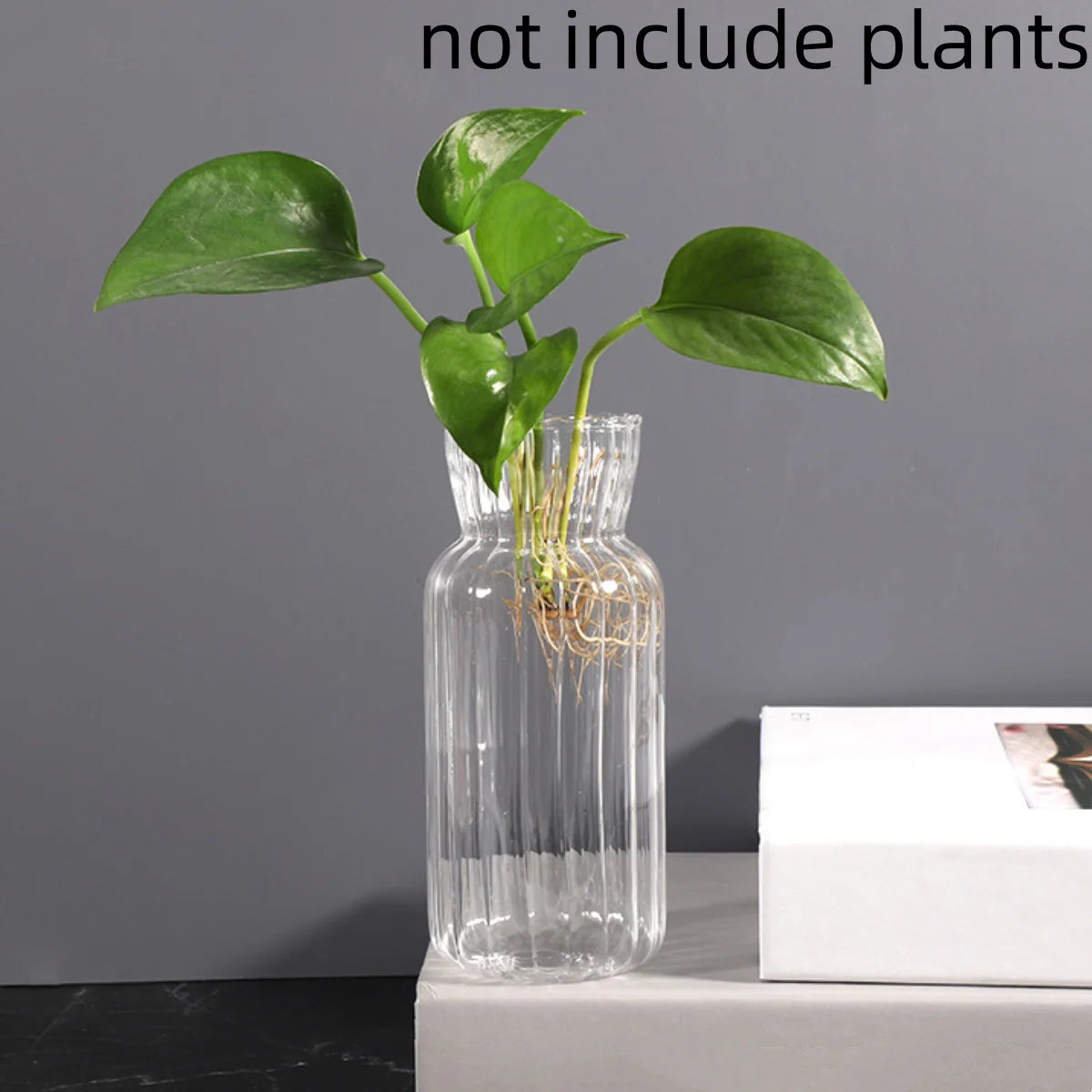 Transparent glass vase for flowers featuring a stylish design on a gray surface