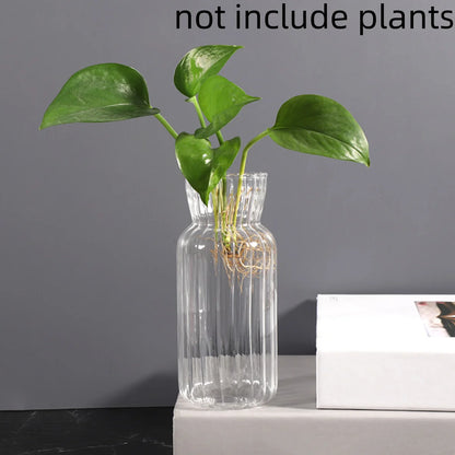 Transparent glass vase for flowers featuring a stylish design on a gray surface