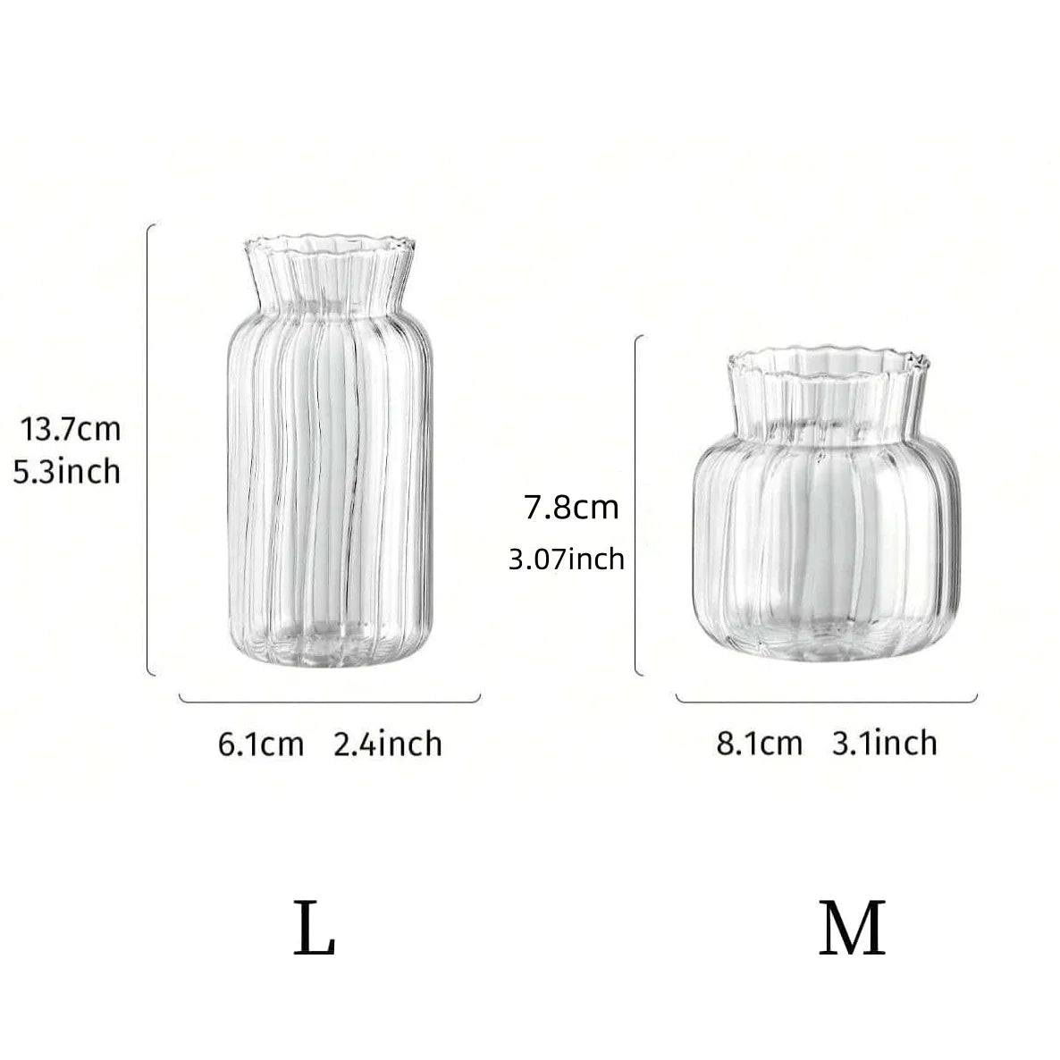 Nutshell transparent glass vase for flowers in two sizes, showcasing a ribbed design and elegant shape