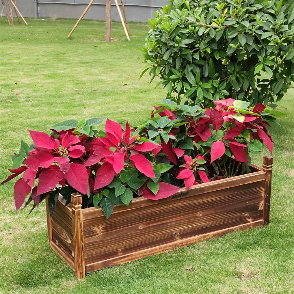 Wooden Rectangular Planter Box Raised Garden filled with vibrant red poinsettias in a green lawn
