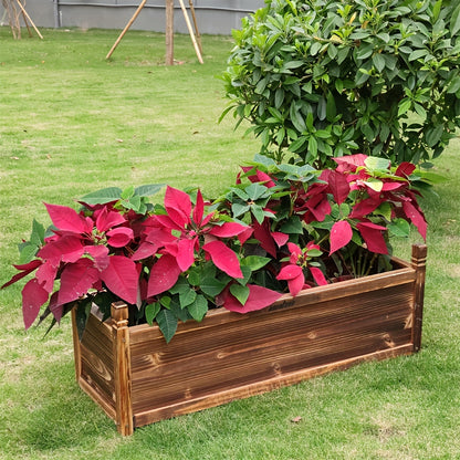 Wooden Rectangular Planter Box Raised Garden filled with vibrant red poinsettias in a green lawn