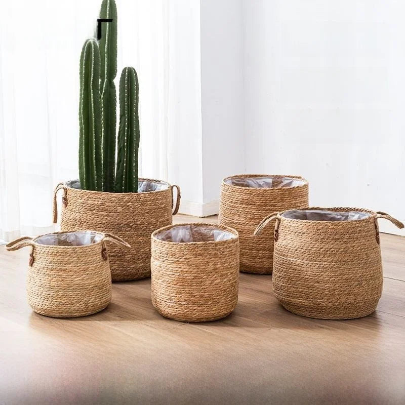 Set of five woven pot plant baskets in natural color with sturdy handles for indoor plants
